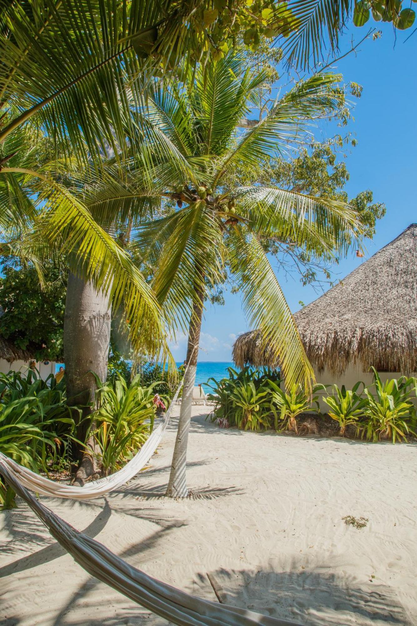 Hotel Isla Del Pirata Isla Grande  Esterno foto